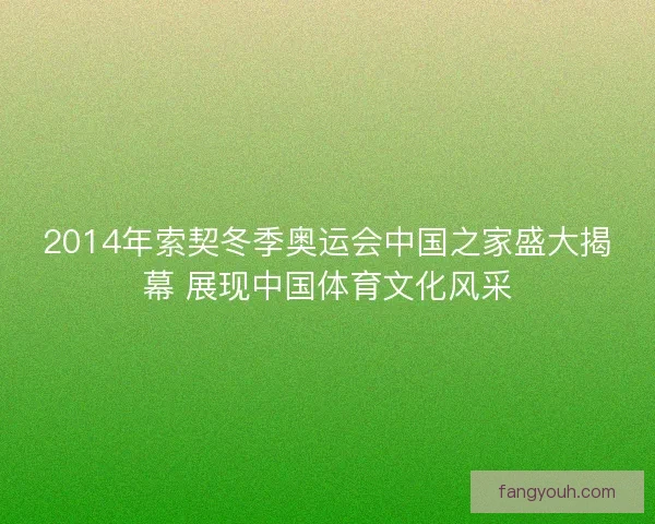 2014年索契冬季奥运会中国之家盛大揭幕 展现中国体育文化风采